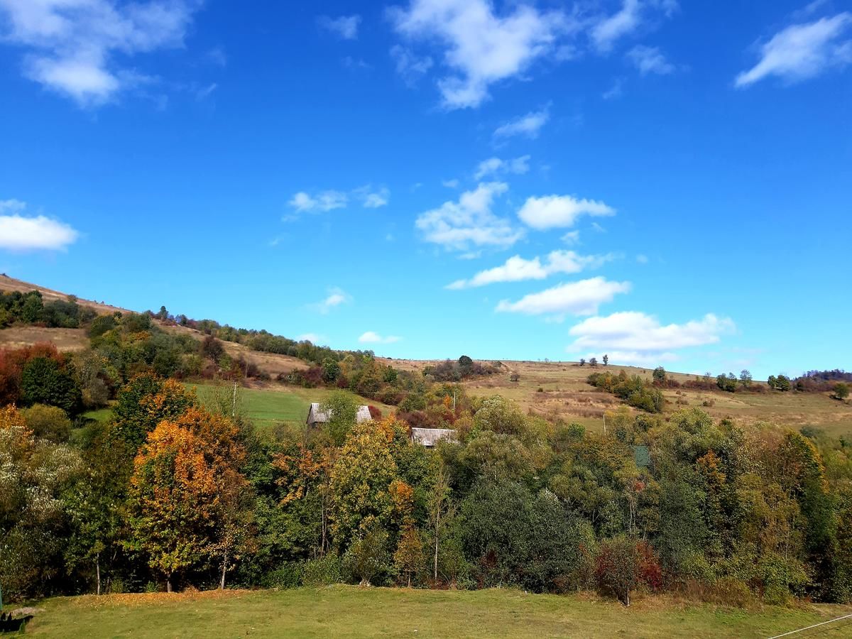 Гостевой дом Guest House Oleksandriya Воловец-15